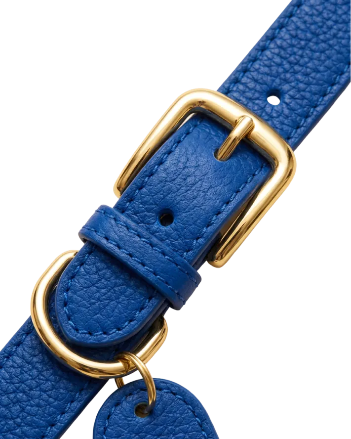 Collar Marino con hebilla de latón