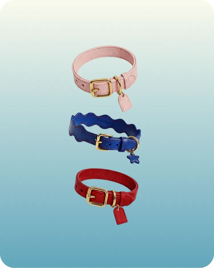 Collares Essencia y Ritmo