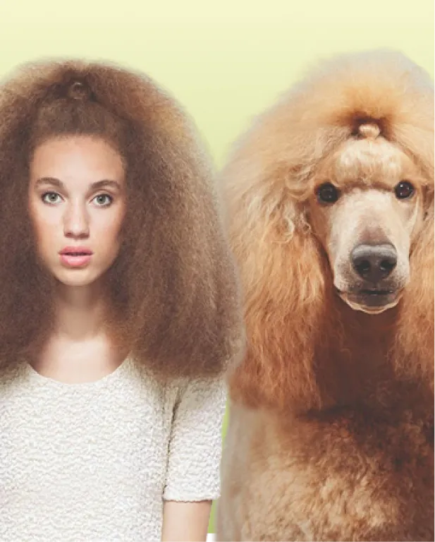 Mujer de cabello rizado junto a un poodle color miel